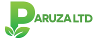 Paruza